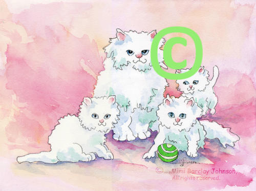 Cats-White Persian